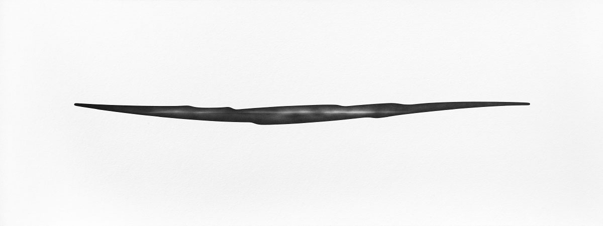 Open Drawing #204 / Graphite Pencil on Matboard / 120 x 45 cm