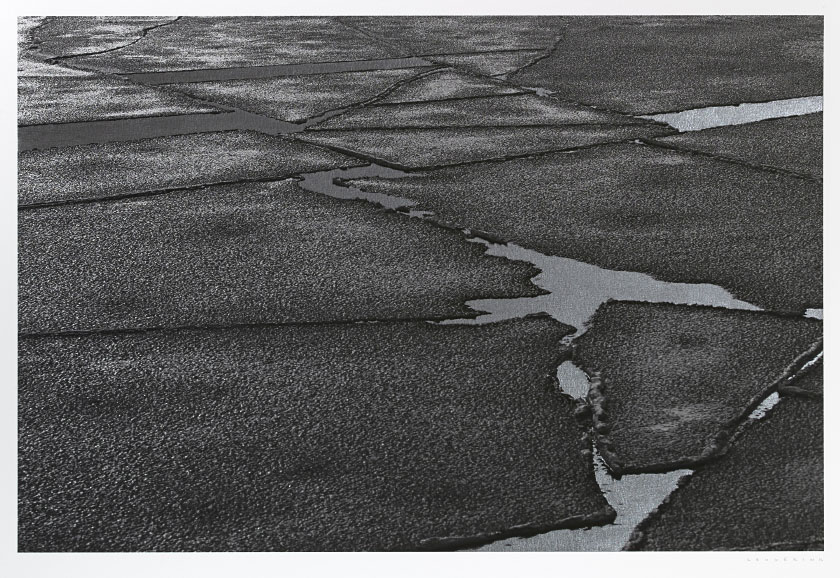 Wintertide #3 / Graphite Pencil and Ink on Photographic Rag Paper. 390 x 260 mm