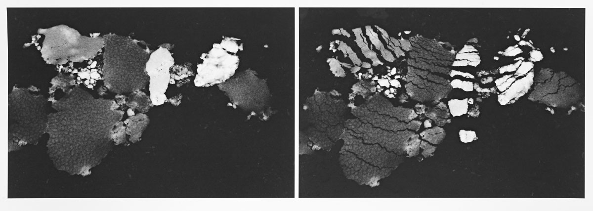 Mu (Diptych) / Ink on Photographic Rag Paper. 544 x 180 mm